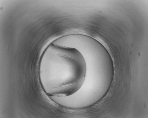 X0000061111392200512091806