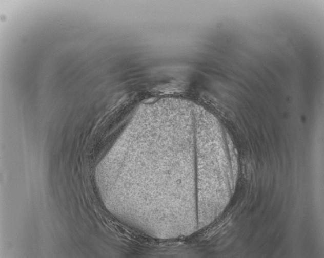 X0000061111393200512091805