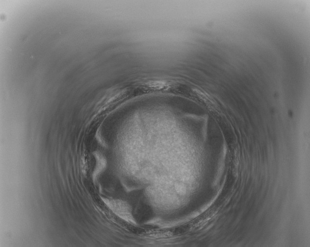 X0000061111394200512091805