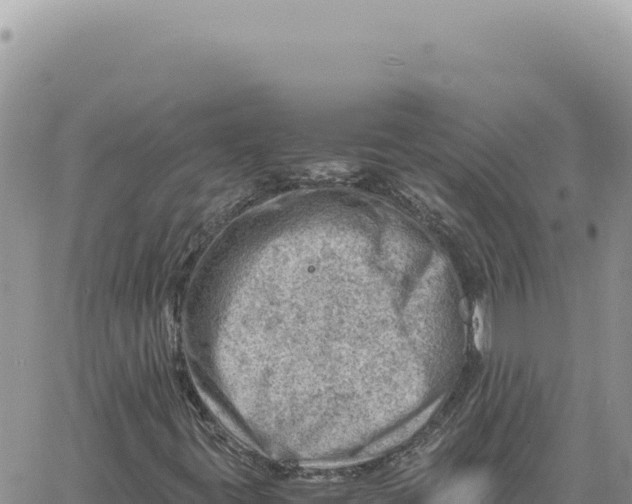 X0000061111395200512091805