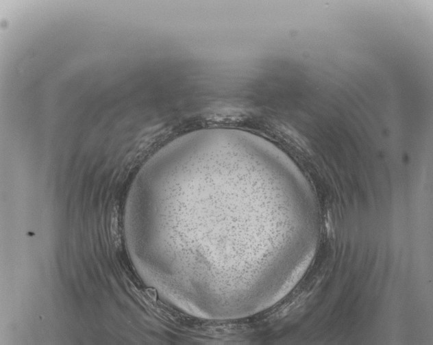 X0000061111396200512091805