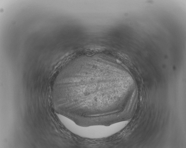 X0000061111397200512091805