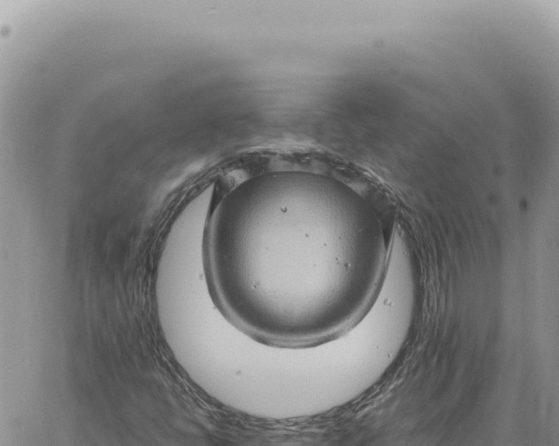 X0000061111398200512091805