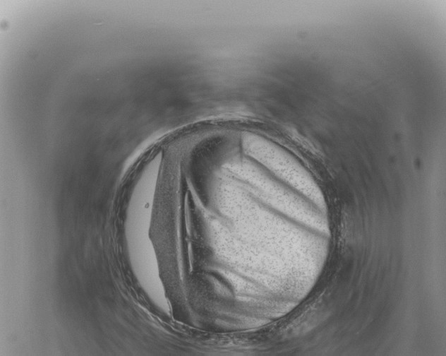 X0000061111400200512091805