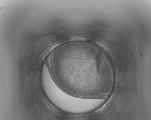 X0000061111401200512091805