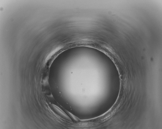 X0000061111402200512091805