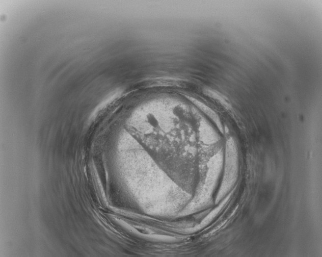 X0000061111403200512091805