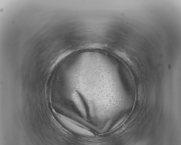 X0000061111404200512091805