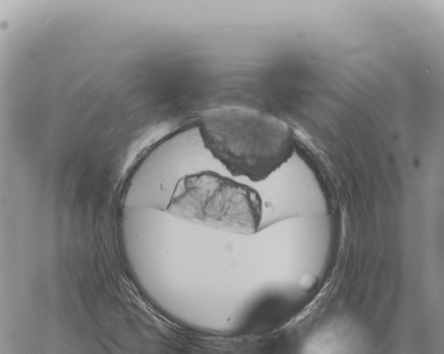 X0000061111405200512091805