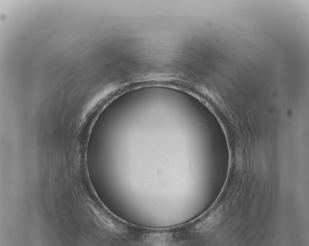 X0000061111406200512091805