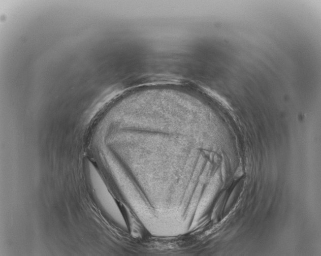 X0000061111407200512091805