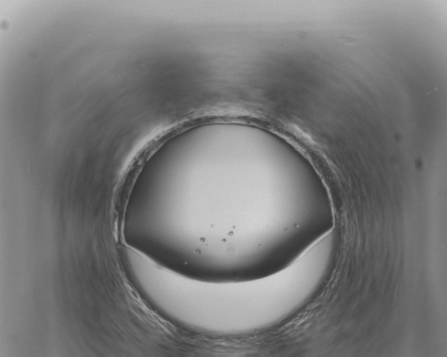 X0000061111408200512091805