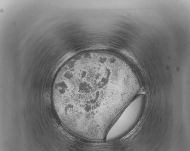 X0000061111409200512091805