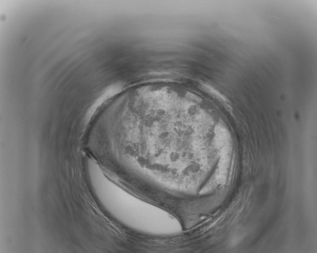 X0000061111411200512091805