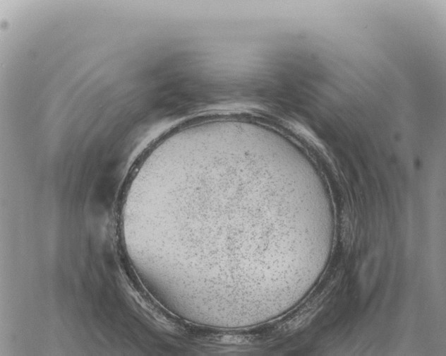 X0000061111412200512091805