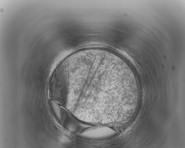 X0000061111413200512091805