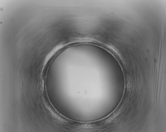 X0000061111414200512091805