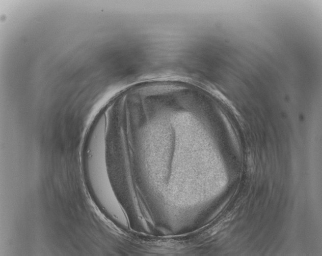 X0000061111416200512091805