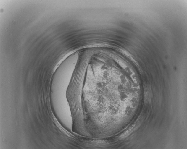 X0000061111417200512091805