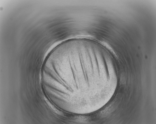 X0000061111420200512091805