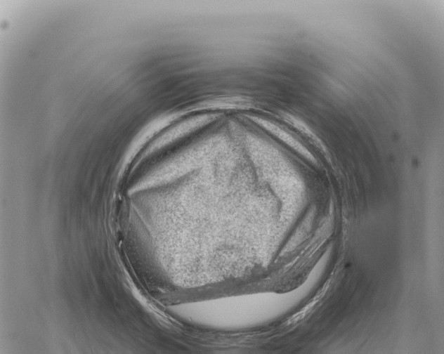 X0000061111421200512091805