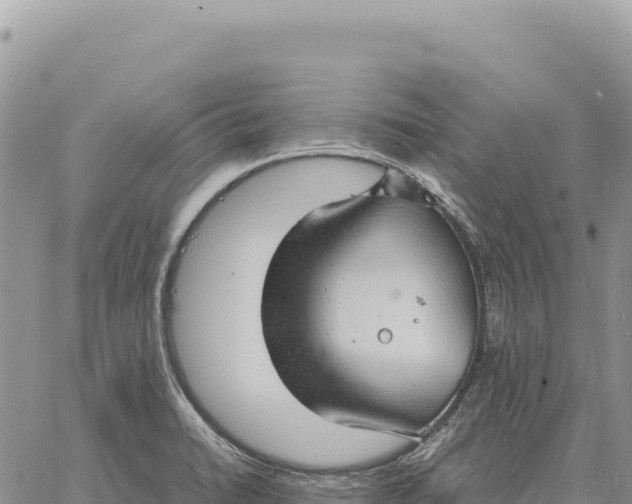 X0000061111422200512091805