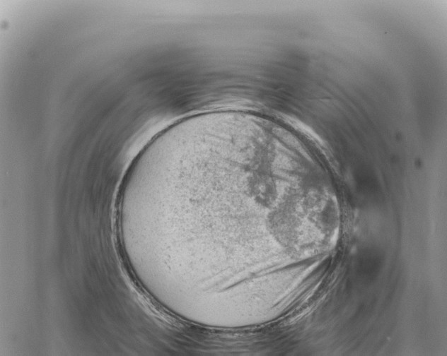 X0000061111423200512091805