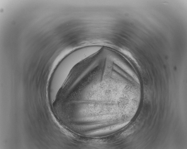 X0000061111424200512091806