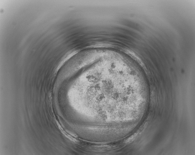 X0000061111425200512091806