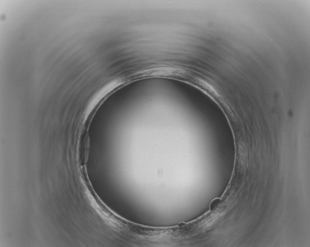 X0000061111426200512091806