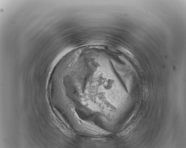 X0000061111427200512091806