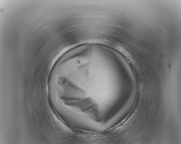 X0000061111428200512091806