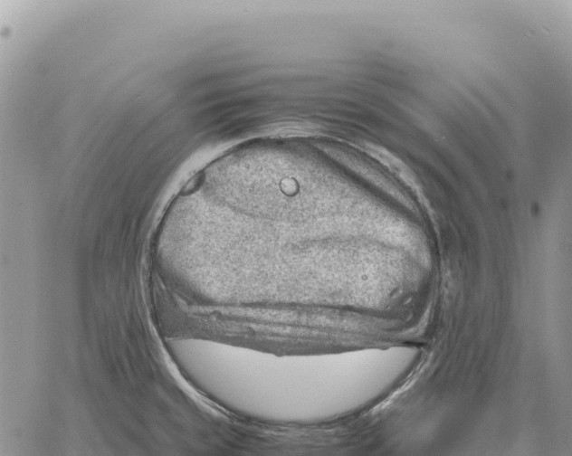 X0000061111429200512091806