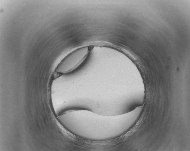 X0000061111430200512091806