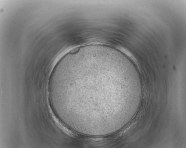 X0000061111431200512091806