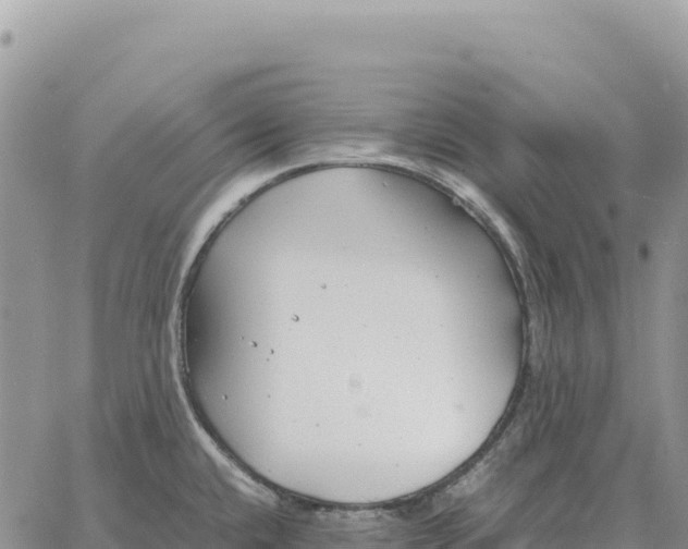 X0000061111432200512091806