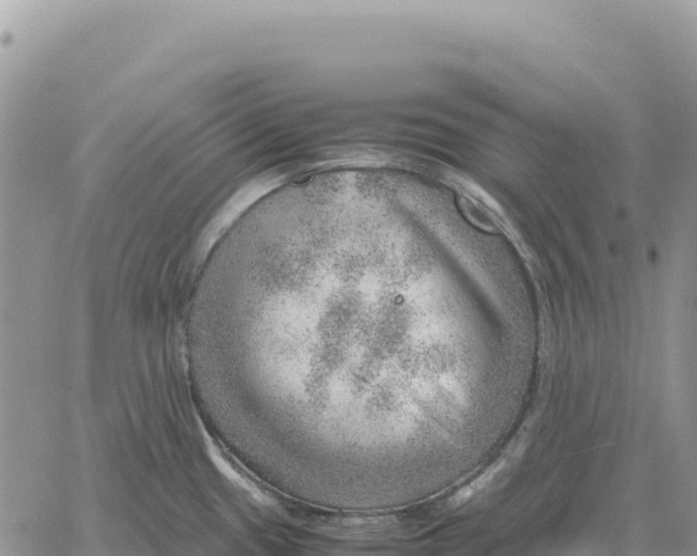 X0000061111433200512091806