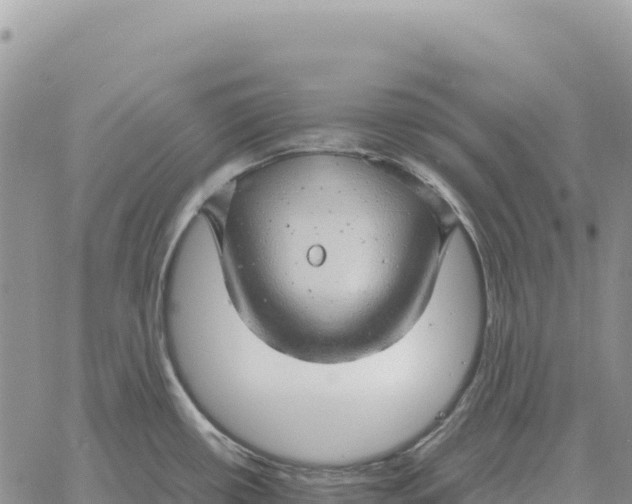 X0000061111434200512091806