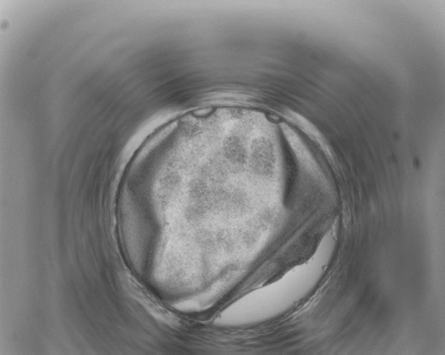 X0000061111435200512091806