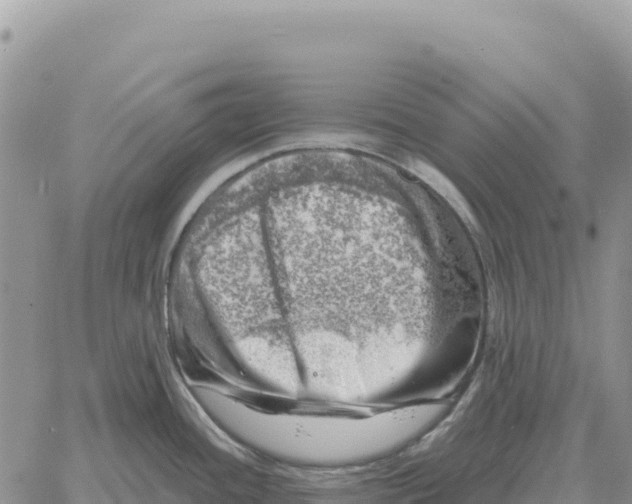 X0000061111436200512091806