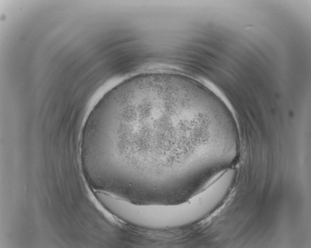 X0000061111437200512091806