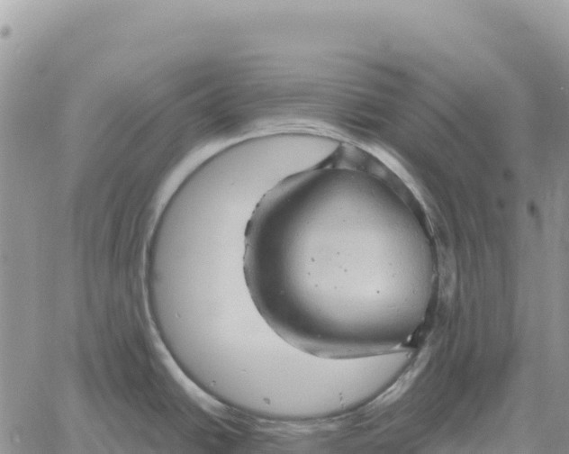 X0000061111438200512091806