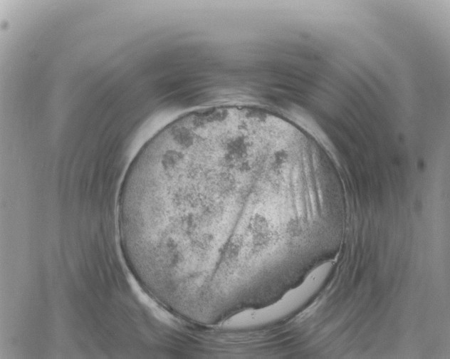 X0000061111439200512091806