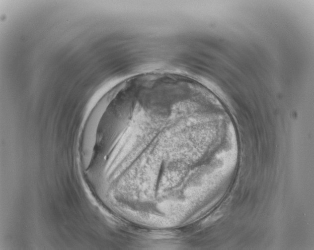 X0000061111440200512091806