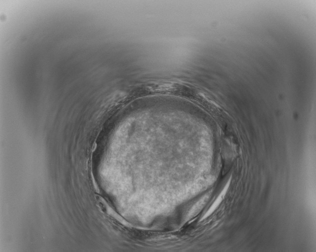 X0000061111441200512091805