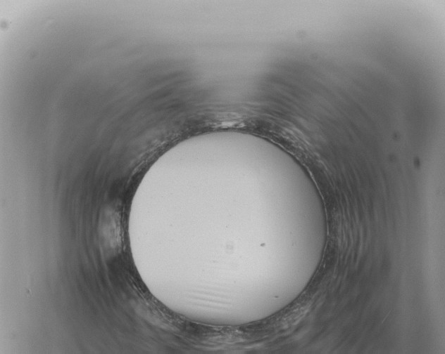 X0000061111442200512091805