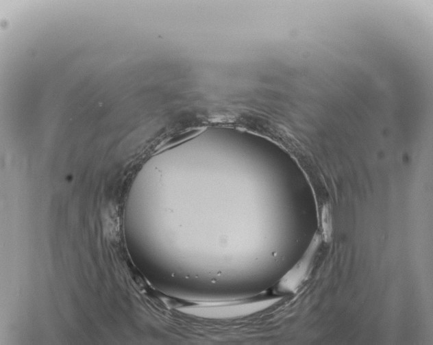 X0000061111443200512091805