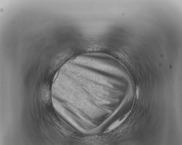 X0000061111444200512091805