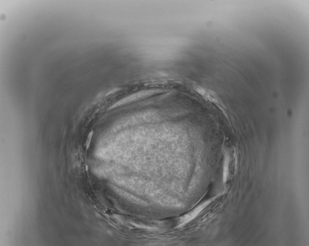 X0000061111445200512091805