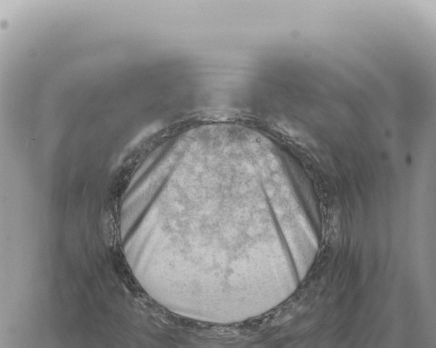 X0000061111446200512091805